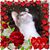 Linda Shoenberger-Heistand's profile image