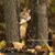 Shirley Barra FitzGerald's profile image