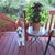 Wendy Bandurak's profile image