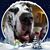 Chris Jennings's profile image
