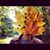 Joshua Halinen's profile image