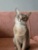 Terry S.'s profile image