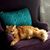 Carleigh S Bedell's profile image
