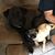 Kim Lindsey-Perrien's profile image