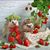 Paula Jahn's profile image
