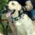 Greg Nilledem's profile image