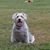 Sharon Cargill's profile image