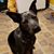 Lindsey Michelle Brandon's profile image
