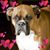 Gina Mann Landers's profile image