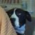 Sam Lovelace's profile image