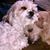 Deborah Hughes's profile image