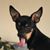 Kimberly Miner's profile image