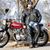 Terry Powell's profile image
