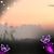 Kristin Maguder Berry's profile image