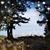 Judy Boren's profile image