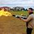 Damien Taglione's profile image
