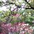 Sue Bentz's profile image