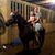 Morgan Riffe Williamson's profile image