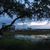 Jon-Teresa Rawlinson's profile image