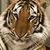 Deborah Smith Lee's profile image