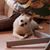 Bill Rupell's profile image