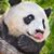 Mindy Phillips Patton's profile image
