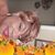 Jackie Autry's profile image