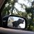 Ann Wagener Parker's profile image