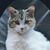 Rick Bulman's profile image