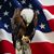 Ronnie Ledet's profile image