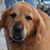 Jorge Schneider's profile image