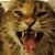 KJ Roberts's profile image