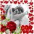 Rebecca Harmon's profile image