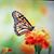 Doris Dyer's profile image