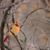 Elaine Phillips Widmann's profile image