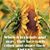 Sandy Hauck Schaeffer's profile image