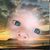 Dale Allen Miller Jr.'s profile image
