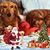 Debbie J Maggio's profile image