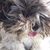 Maheerseca Polome's profile image