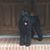 Robin Henderson's profile image