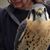 Jane Lockwood's profile image