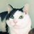 Michele Ruttinger's profile image