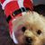 Virginia Mentzer's profile image