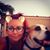 Cheyenne Bounds's profile image