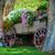 Donna S. Vance's profile image