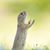 Arrington Live Feed's profile image