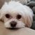 Lanie Mia Yap's profile image