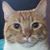 Javier Fernando Sierra's profile image