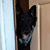 Patti Gainelli Leary's profile image