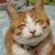 Cathy Grannan's profile image